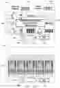 Fig. 26 - GAMING DEVICE AND SYSTEM FOR USE WITH CAPPED AWARDS