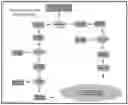Fig. 04 - Cash prompt smart register