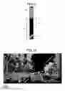 Fig. 08 - Vehicle recognition apparatus and vehicle recognition method