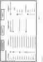 Fig. 17 - DIFFERENTIALLY WEIGHTED MODIFIABLE PRESCRIBED HISTORY REPORTING APPARATUS, SYSTEMS, AND METHODS FOR DECISION SUPPORT AND HEALTH
