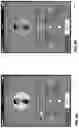Fig. 42 - DIFFERENTIALLY WEIGHTED MODIFIABLE PRESCRIBED HISTORY REPORTING APPARATUS, SYSTEMS, AND METHODS FOR DECISION SUPPORT AND HEALTH