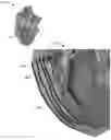 Fig. 01 - ECHOGENIC ORGAN REPLICA AND METHOD OF MANUFACTURE USING AN ADDITIVE MANUFACTURING SYSTEM