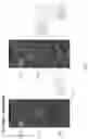 Fig. 06 - Non-linear media segment capture and edit platform