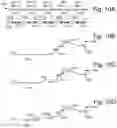 Fig. 12 - Memory device with vpass step to reduce hot carrier injection type of program disturb