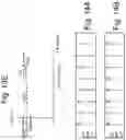 Fig. 16 - Memory device with vpass step to reduce hot carrier injection type of program disturb