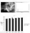 Fig. 06 - having gold nanoparticle synthesis ability, and method for removing radioactive iodine by using same