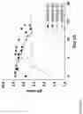 Fig. 02 - Method for Manufacturing a Functionalized Magnetic Particle
