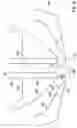 Fig. 14 - Charged particle beam system
