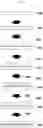 Fig. 06 - METHOD FOR PRINTING MICRO LINE PATTERN USING INKJET TECHNOLOGY