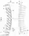 Fig. 04 - Semiconductor module and semiconductor device using the same
