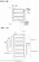 Fig. 15 - Wiring layer and manufacturing method therefor