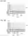 Fig. 06 - Light-emitting display device including a first pixel and a second pixel