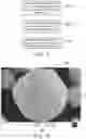 Fig. 02 - Lithium battery anode material and method of manufacturing the same