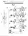 Fig. 09 - Architectures and methods for novel antenna radiation optimization via feed repositioning