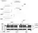 Fig. 09 - Apparatus and methods for synchronization of transmitters