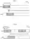 Fig. 02 - Terminal and communication method