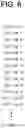 Fig. 07 - Method and/or system for transmitting and/or receiving data