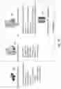 Fig. 19 - System and method for securing personal information via biometric public key