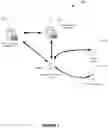 Fig. 02 - Enhanced mechanisms for information exchange in an enterprise environment