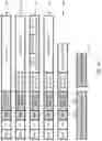 Fig. 06 - Concept for segmenting an application buffer into data packets