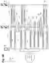 Fig. 06 - Detecting aggressive or attacking behaviors in IMS SIP signaling
