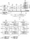 Fig. 01 - System and method for performing social media cryptocurrency transactions