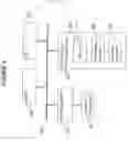 Fig. 04 - Historic data breach detection