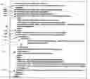 Fig. 01 - METHOD AND SYSTEM FOR DOCKETING
