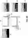 Fig. 09 - Switching between 3D video and 2D video