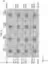 Fig. 03 - Three-dimensional display