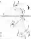 Fig. 16 - Three-dimensional display