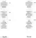 Fig. 10 - Video and image coding with wide-angle intra prediction