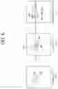 Fig. 07 - Inter-prediction method and apparatus in image coding system