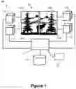 Fig. 02 - METHOD OF VIDEO TRANSMISSION AND DISPLAY