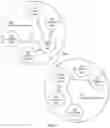 Fig. 07 - Methods and systems for social networking with autonomous mobile agents