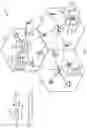 Fig. 02 - UE-centric clustering and efficient scheduling for CoMP