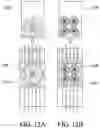 Fig. 13 - APPARATUSES TO VENT AIR THERETHROUGH
