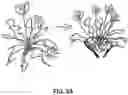 Fig. 04 - PLANT LABELING SYSTEM AND GARDEN TOOLS