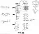 Fig. 13 - PLANT LABELING SYSTEM AND GARDEN TOOLS