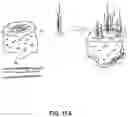 Fig. 33 - PLANT LABELING SYSTEM AND GARDEN TOOLS