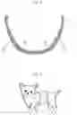 Fig. 06 - Absorbent article for pets