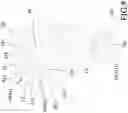 Fig. 09 - Spinning reel