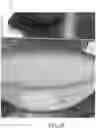 Fig. 09 - Culinary device