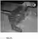 Fig. 22 - Culinary device