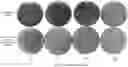 Fig. 01 - NON-BLOOM COMESTIBLE PRODUCT