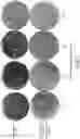 Fig. 02 - NON-BLOOM COMESTIBLE PRODUCT