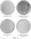 Fig. 04 - NON-BLOOM COMESTIBLE PRODUCT