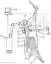 Fig. 01 - Method and device for processing carcasses of livestock along the spine