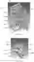 Fig. 16 - Chocolate processing system and method