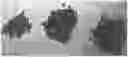 Fig. 01 - Fruit and/or vegetable snack product and methods of production and use therof